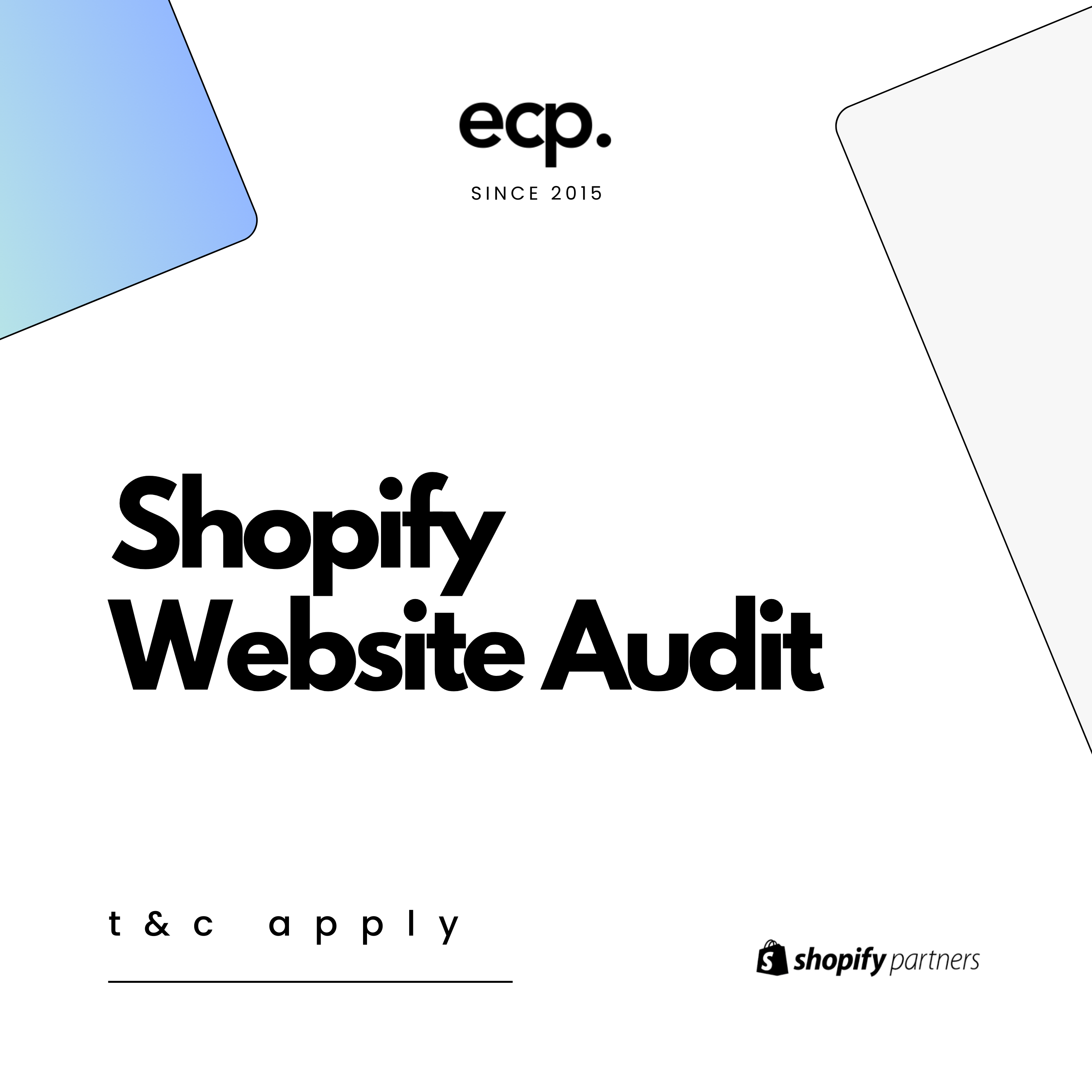 Shopify Website Audit (Basic)