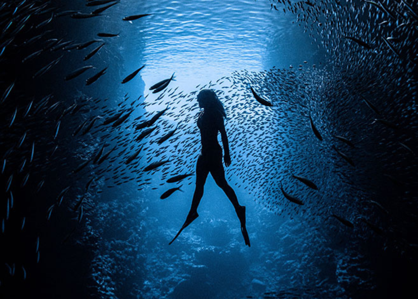 Woman freediving with fish