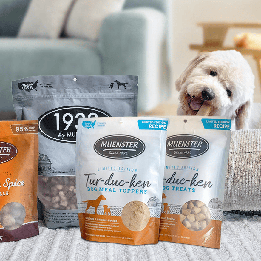 Dog treats packaging with a dog in the background