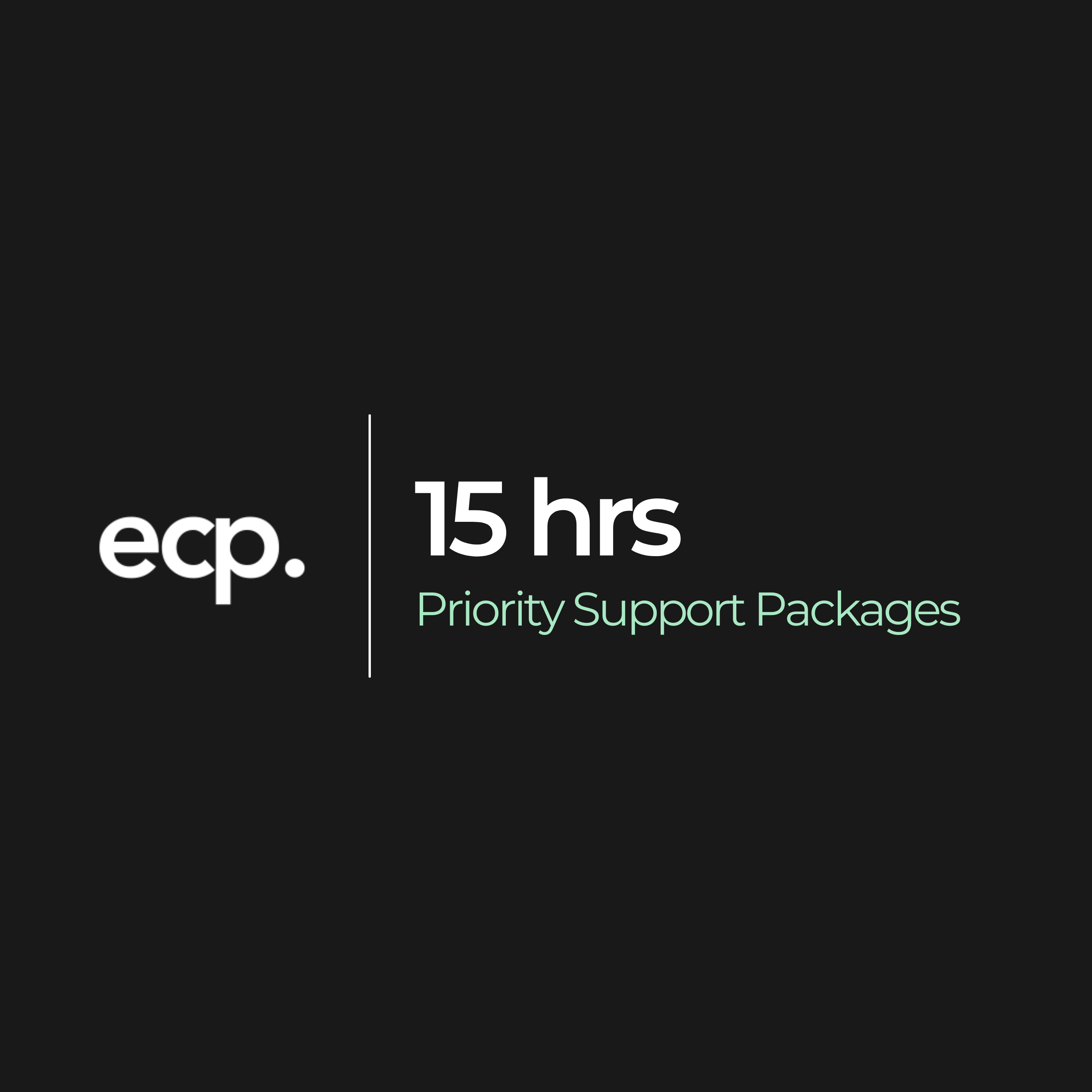 Ecommerce Pro OÜ Shopify Priority Support (15hrs)