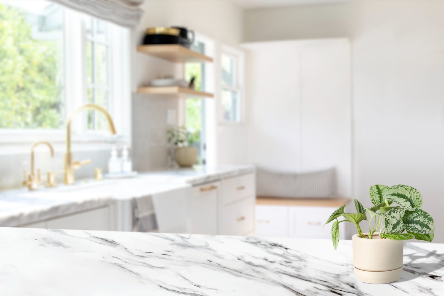 Off-center potted plant on top of marble kitchen counter