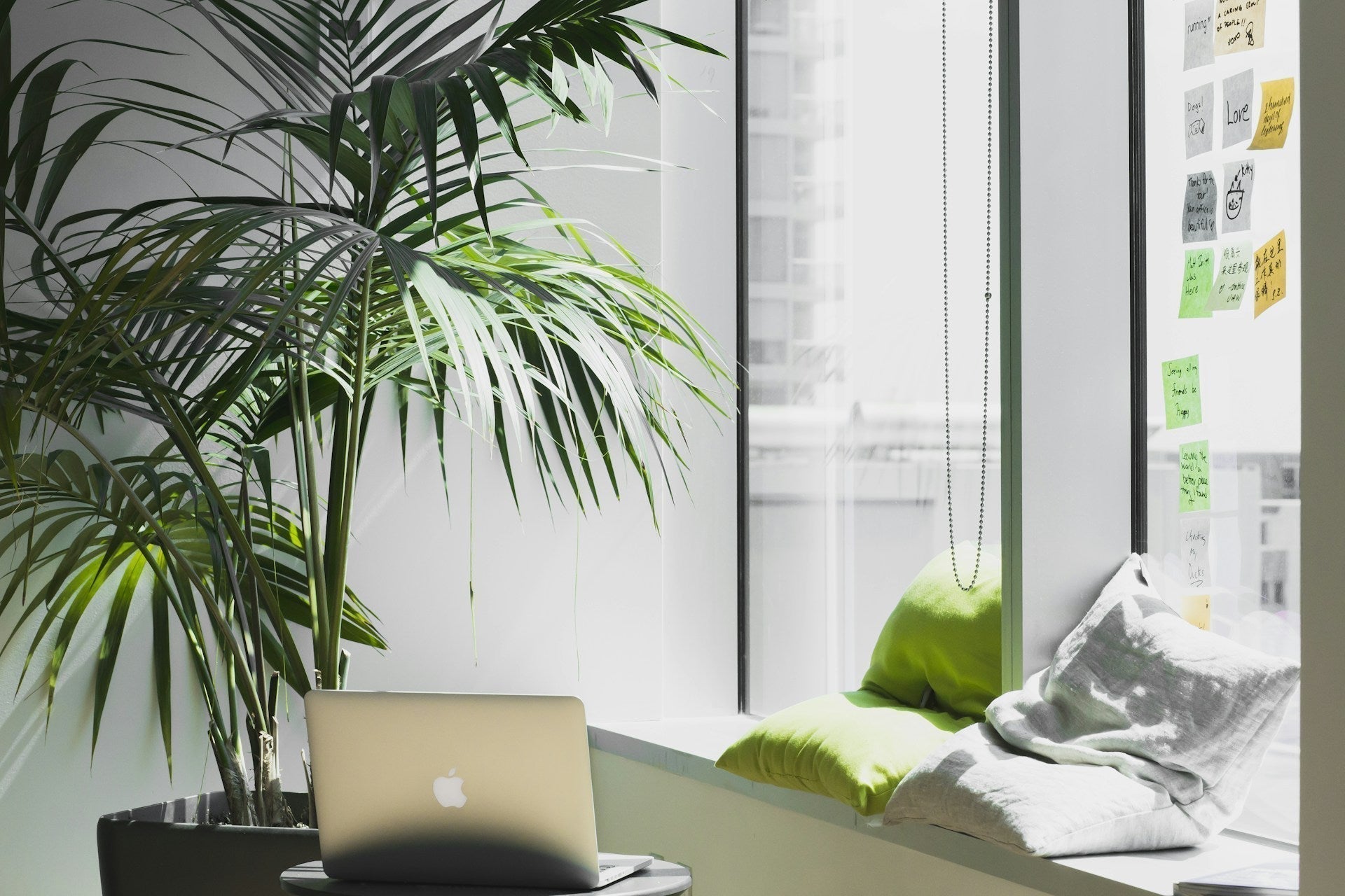 Shopify’s Free Business Name Generator