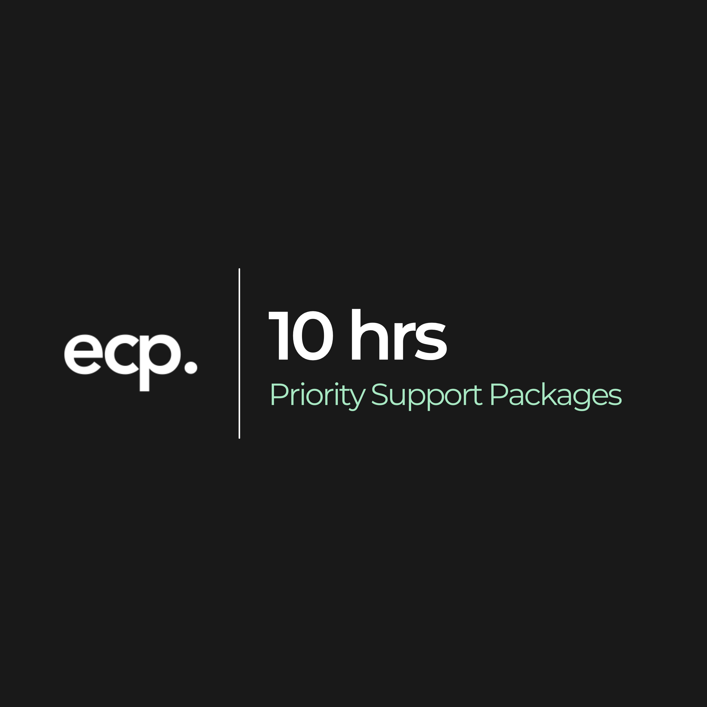 Shopify Priority Support (10hrs)