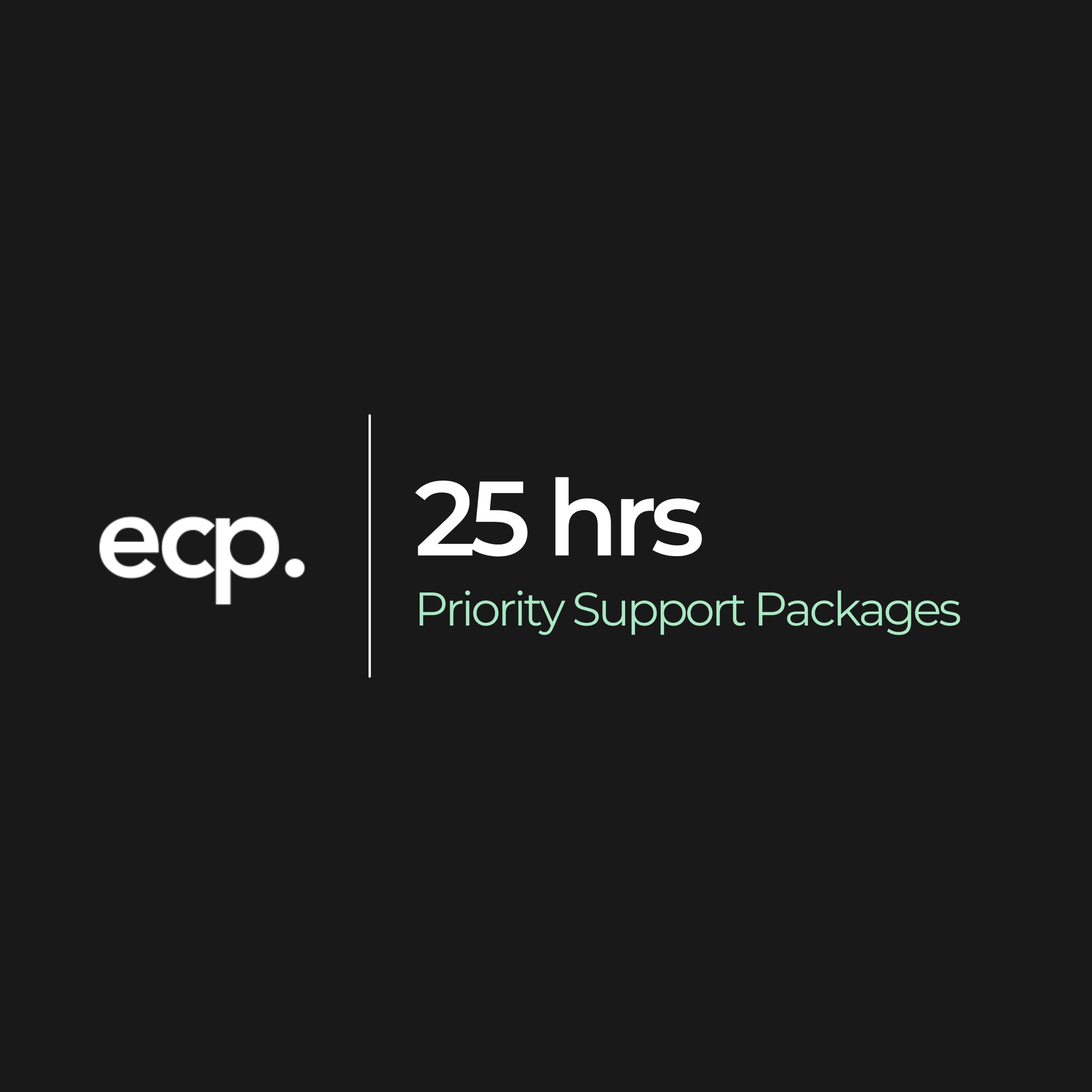 Shopify Priority Support (25hrs)