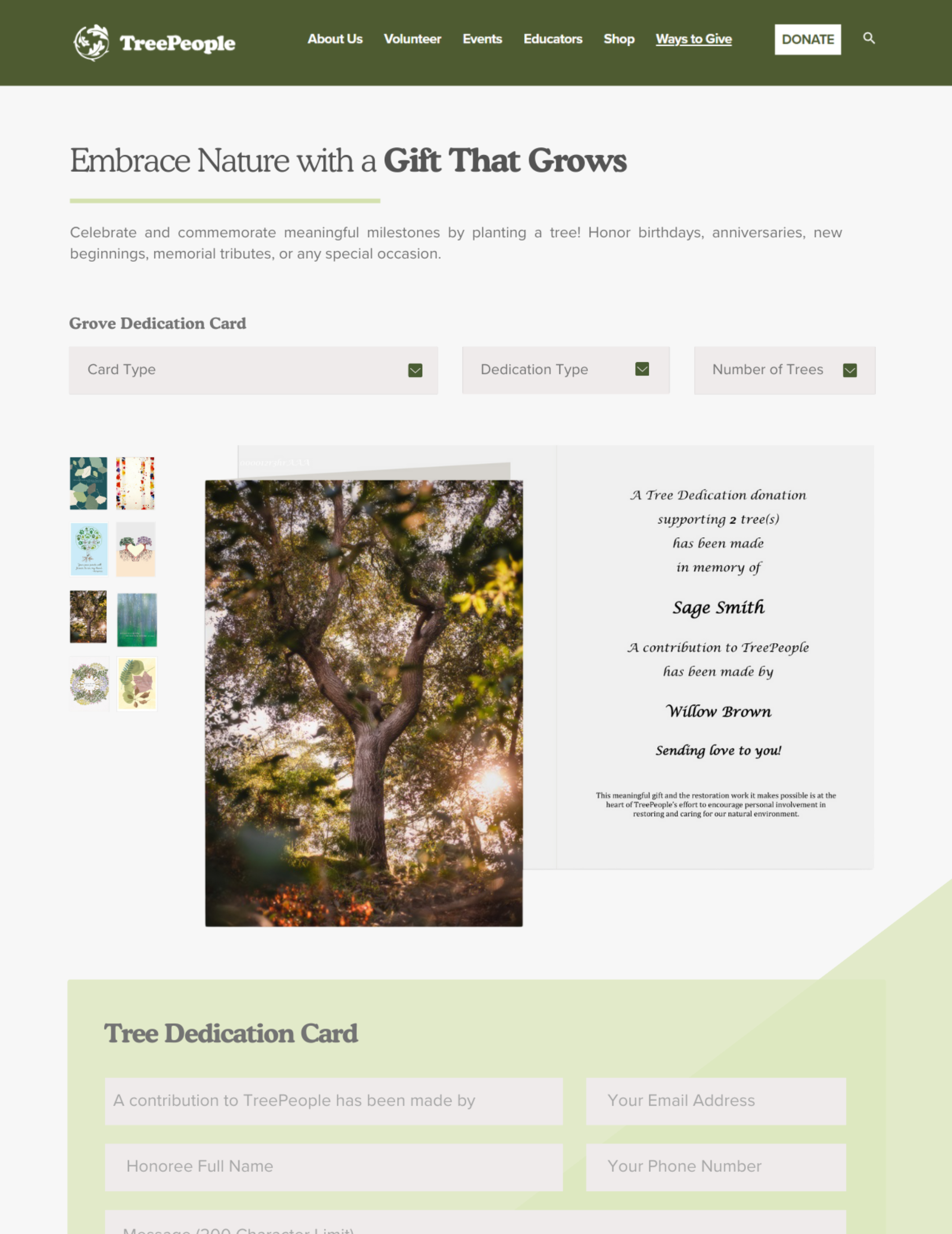 Tree People website layout